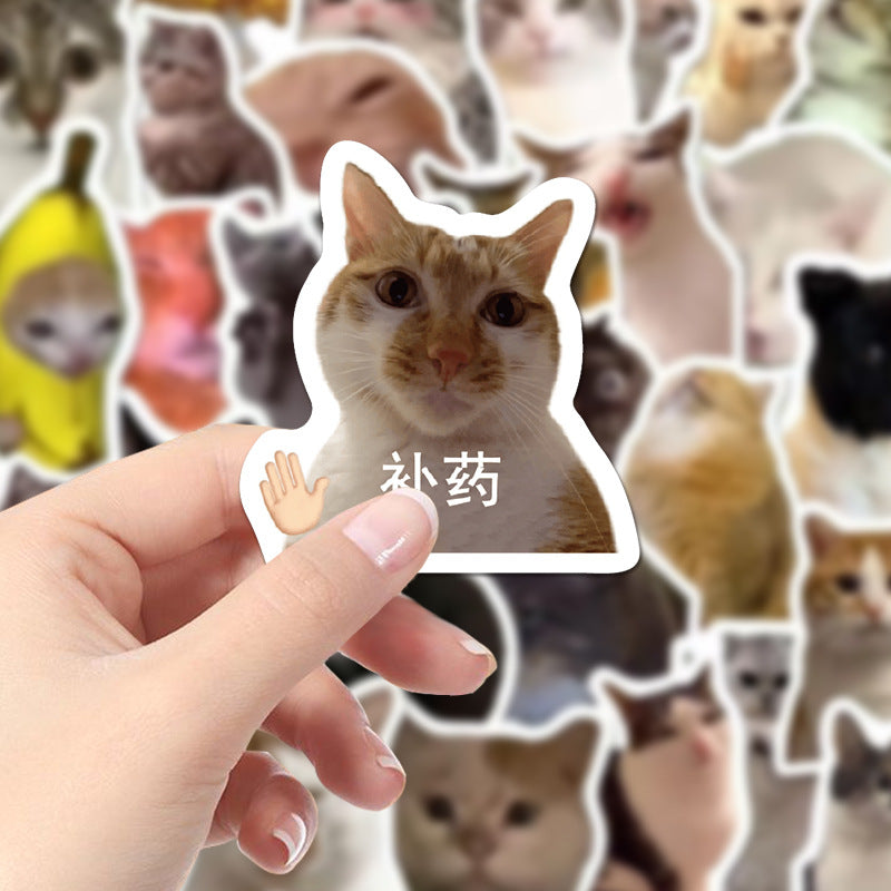 Cute cat stickers