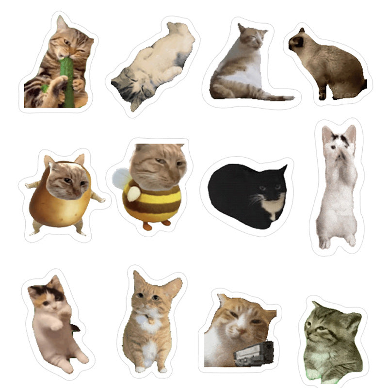 Cute cat stickers