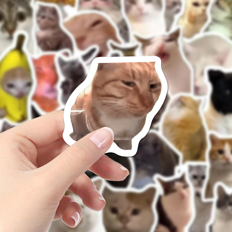 Cute cat stickers